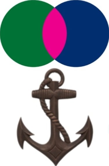 Sheer Loyalty Consultancy logo