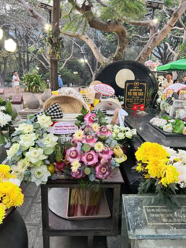 sam-le-co-sau-con-dao-chi-tiet