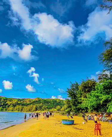 bai-dam-trau-con-dao