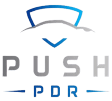Push PDR logo
