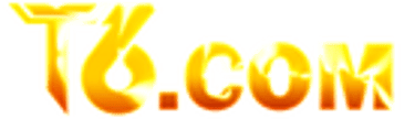 NexaBirama logo