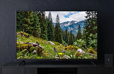 A high-quality 4K television displaying a vibrant nature documentary in a North American / US home theater setup. The room features dark slate navy walls.