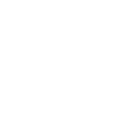 Dicleico logo