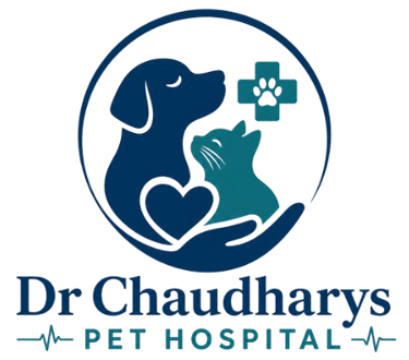 Dr Chaudharys Pet Hospital logo