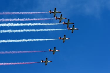 Patrulla Águila