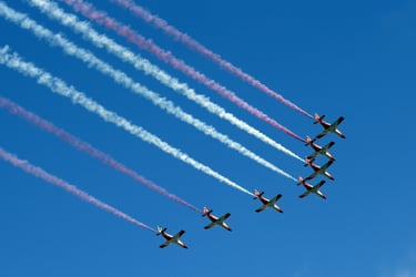 Patrulla Águila
