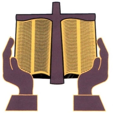 VitaNova logo