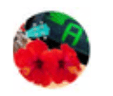 guitar tuner google  logo