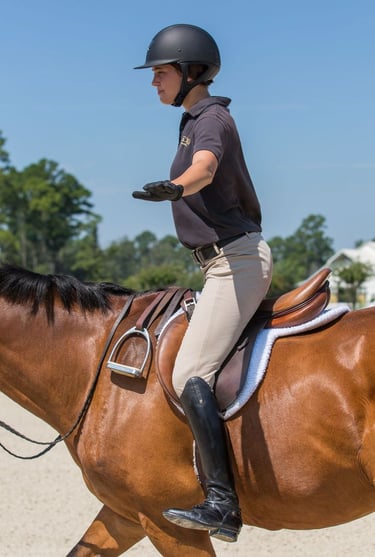 Cours d'Équitation