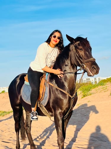 b_equestre,centre_equestre,cours_equitation,balade_a_cheval,balade_plage,balade_coucher_de_soleil,ch