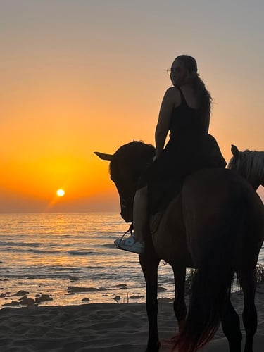 horse_riding,horseback_riding,horse,horses,equestrian,riding_club,horse_club,equestrian_center,ridin