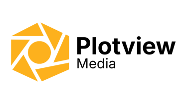 NexaVibe logo