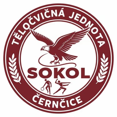 SokolSpolečně logo