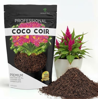 Buffered coco coir brick used for moisture retention in DIY plant soil