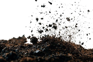 fertilizer guide for standard potting soil