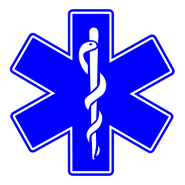 CRUEM logo
