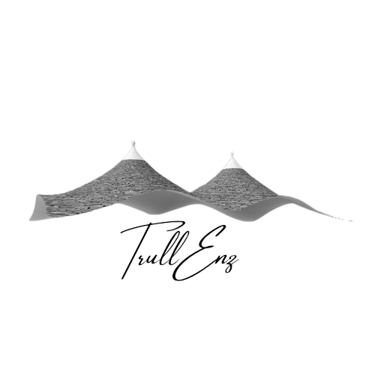 trullenz logo
