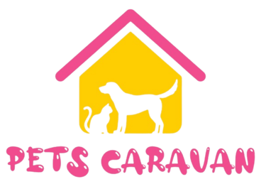 PawVibe logo