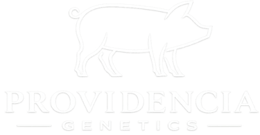 Genética Porcina México logo