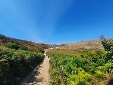 plage de D’Herlin Belle-Île-en-Mer