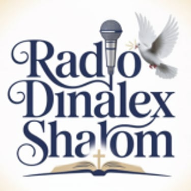 Dinalex Shalom logo