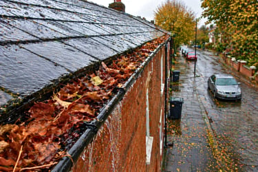 Water Damage Caused by blocked guttering