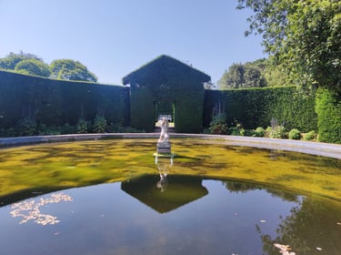 A classical stone statue sits in a circular pond reflecting a tall green hedge wall in a formal garden.