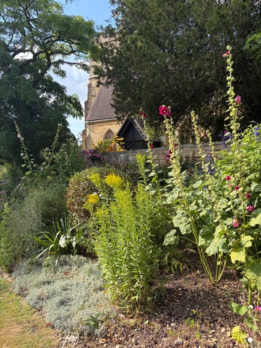 A lush English garden with pink hollyhocks and yellow wildflowers in front of a stone church building.