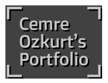 deluxepaint.net Cemre Ozkurt digital art portfolio logo