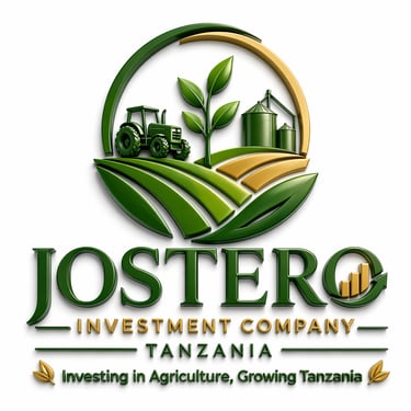 Jostero Investment Ltd Tanzania logo