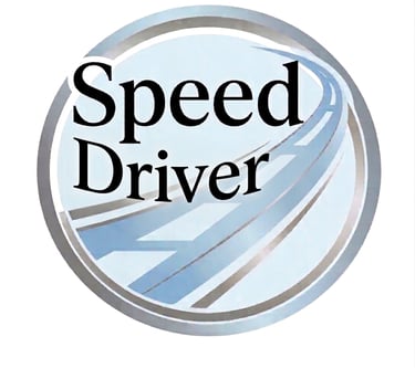 Driver Srls logo
