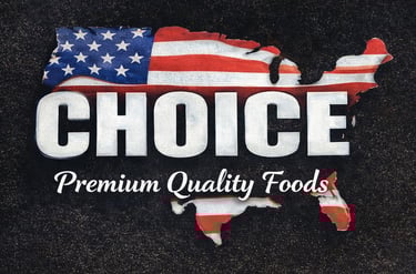 USA Choice Food Solutions logo
