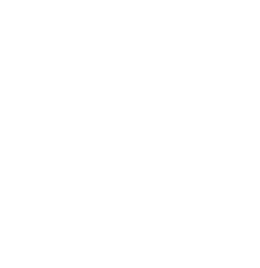 Meridian Synaps logo