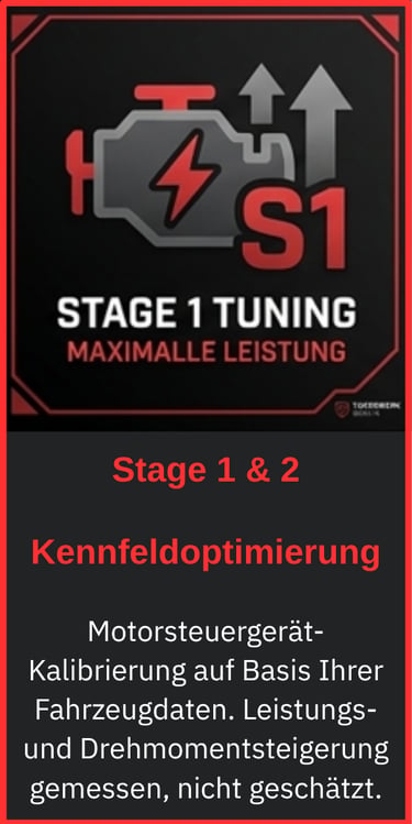 Tunerwerk.de-Stage 1 Tuning - Kennfeldoptimierung und Leistungssteigerung Berlin und Brandenburg