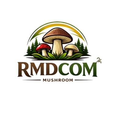 RMDCOM logo