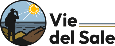 Vie del Sale logo