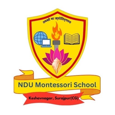 NDU Montessori School logo