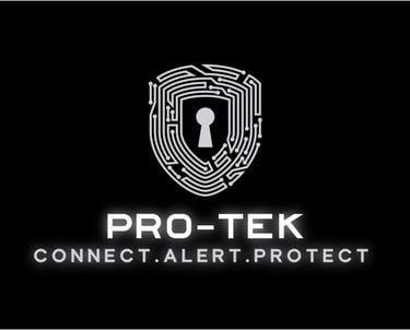 pro tek solutions logo