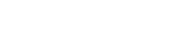 PUNA NEXO SRL logo