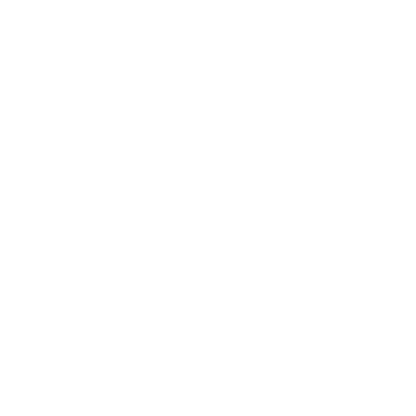 Ignite Your Purpose  logo