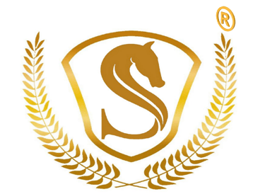 SHUKUL SURATIYA SECURE SECURITY SERVICES PRIVATE LIMITED logo