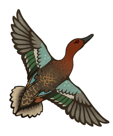 Still in Flight Taxidermy logo