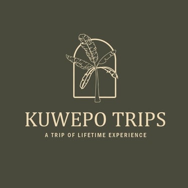 KUWEPO TRIPS LIMITED logo