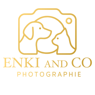 Enki and Co logo