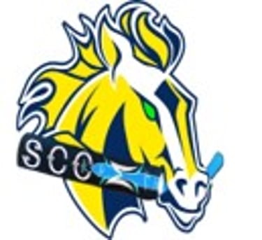 Stouffville Cricket Club logo