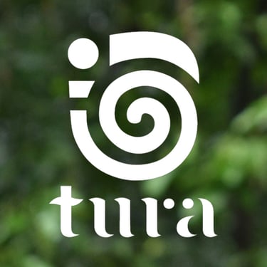 TuraProject logo