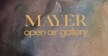 Mayer Open Airline Gallery logo