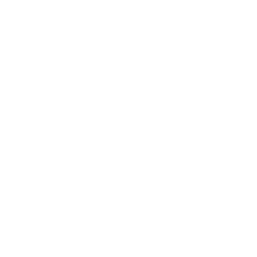 Camerata Lusa logo