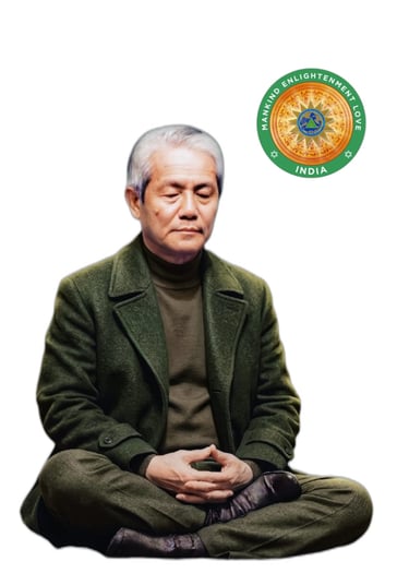 MEL INDIA logo
