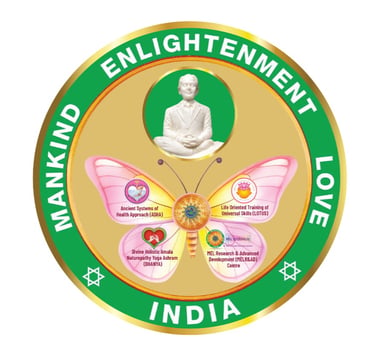 MEL INDIA logo